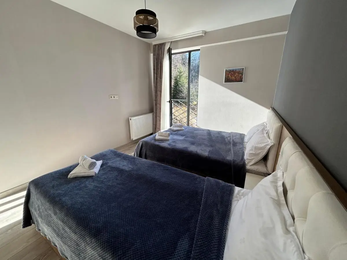 Bakuriani Hotel Apartments 301