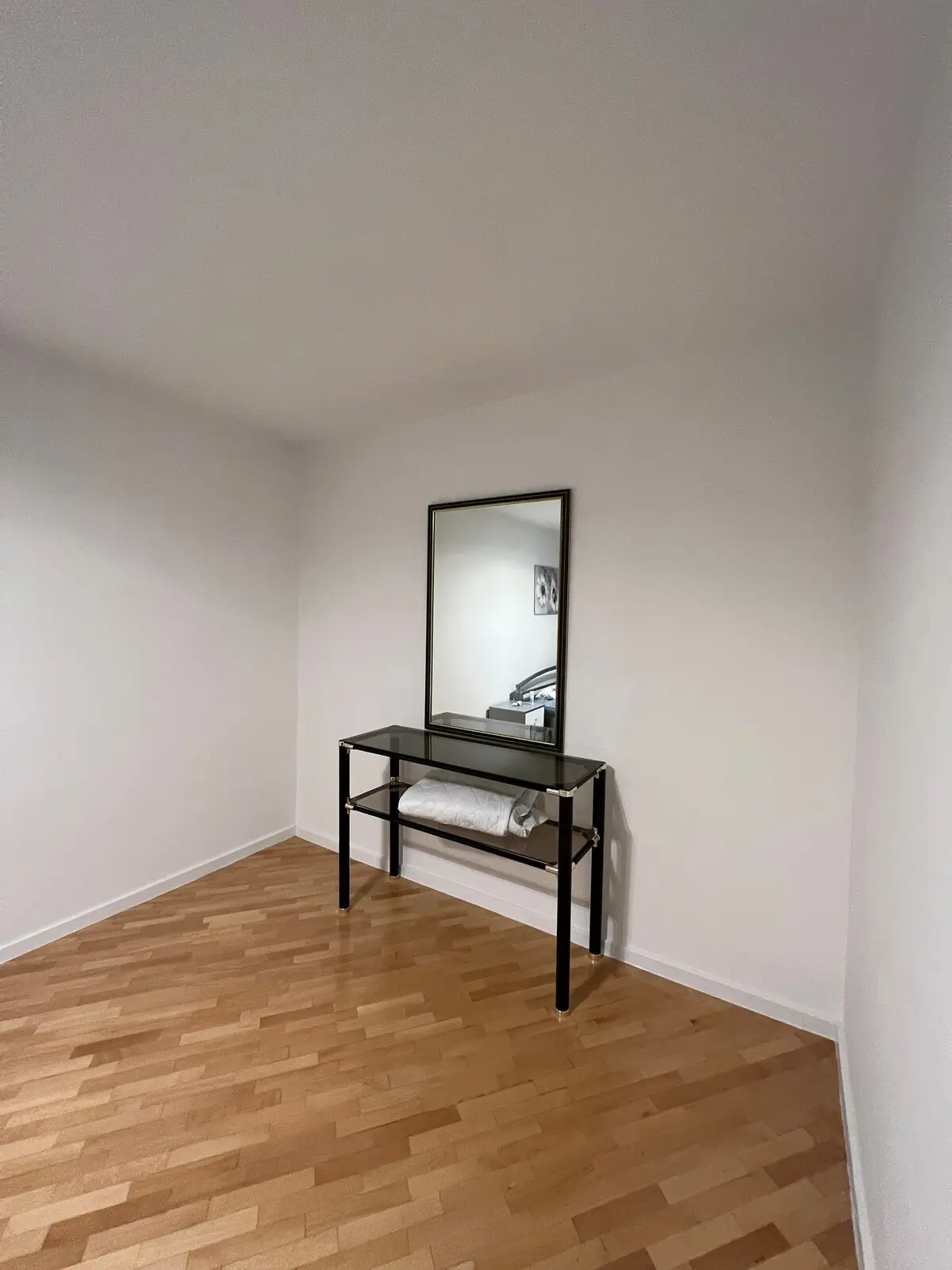 Luxury fresh renovated apartment