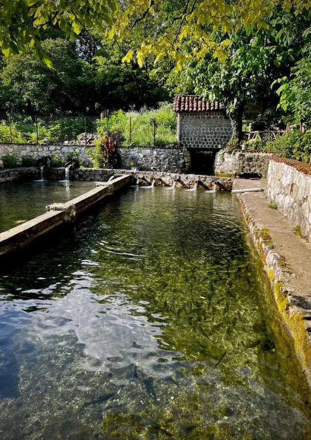 Cottage ,,Okatsia” ოკაციას კოტეჯები
