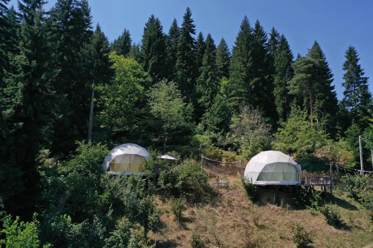 Ajara Glamping Kokotauri