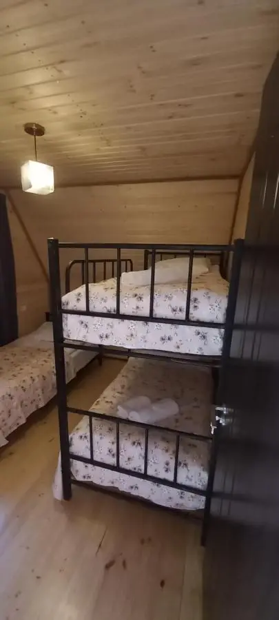 oda lux nikortsminda