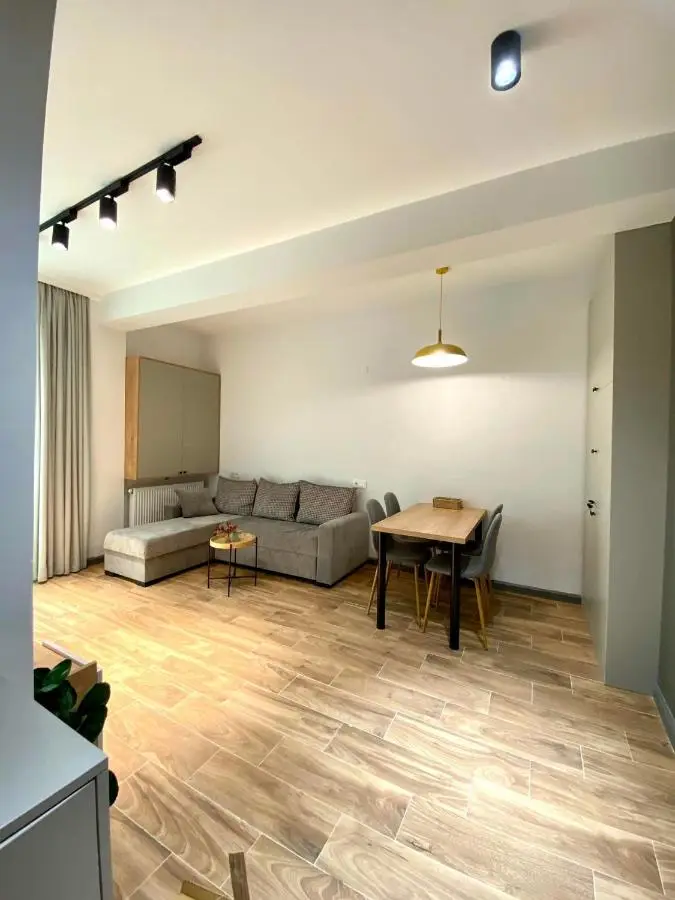 Snow Forest Bakuriani Apartment 10