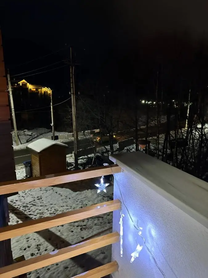 Orbi Palace Bakuriani 101