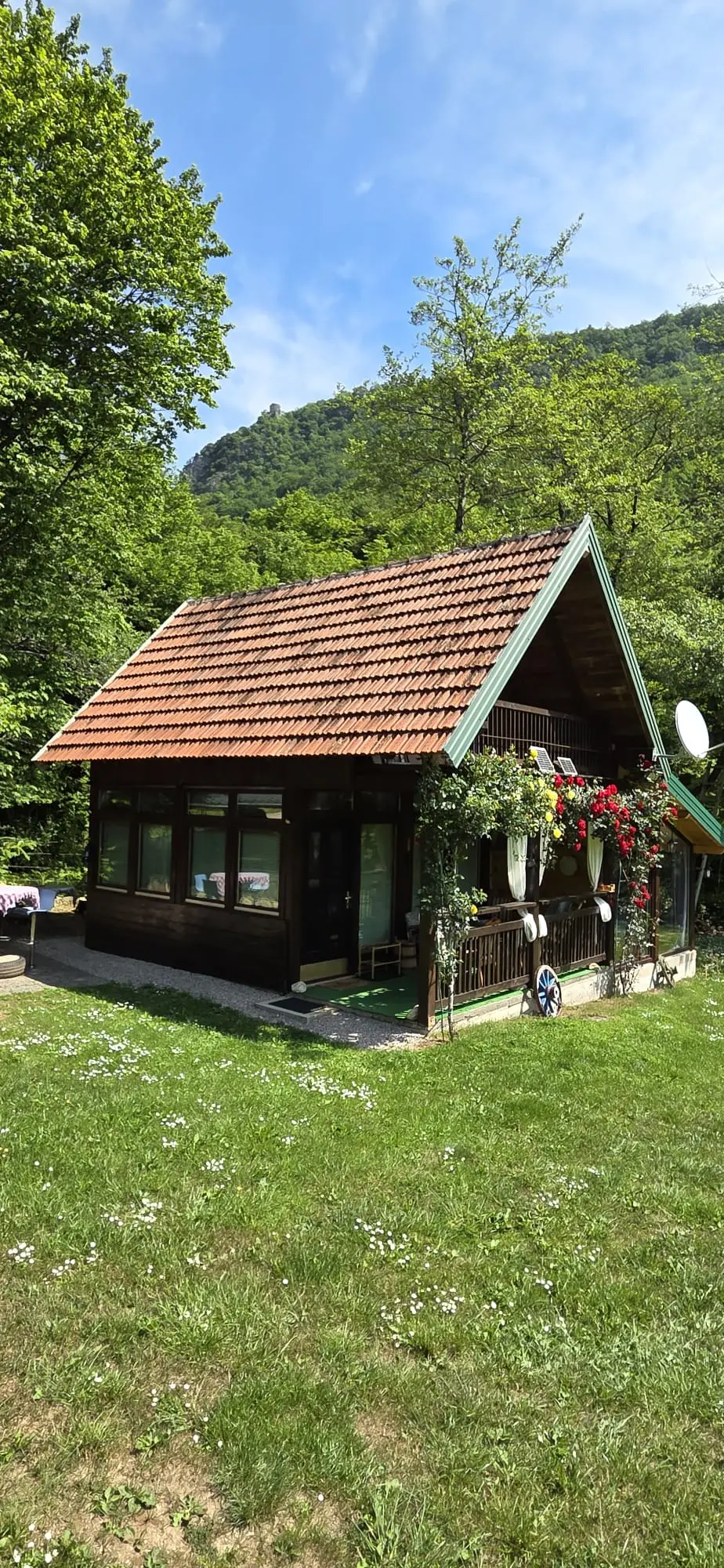 Nina's Cabin