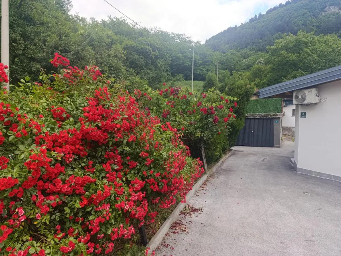 Sarajevo Hills-POOL&JACUZZI private garden Home-Near Old Town