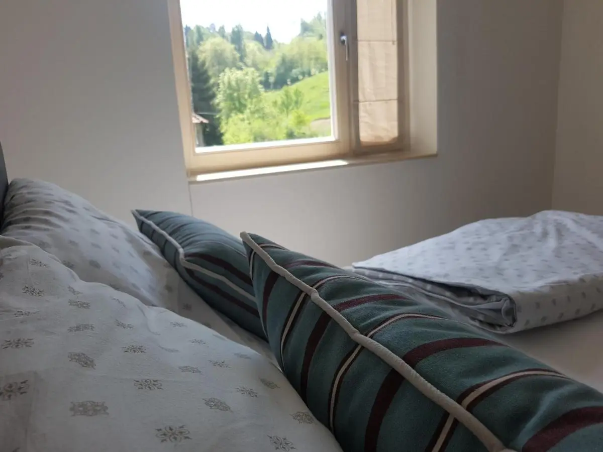 Apartman VIP Duplex