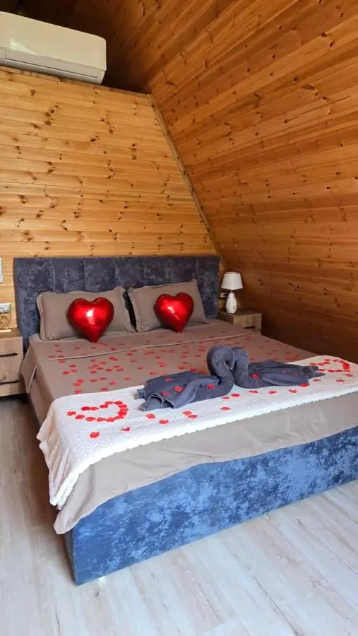 Thethi Sky Lodge