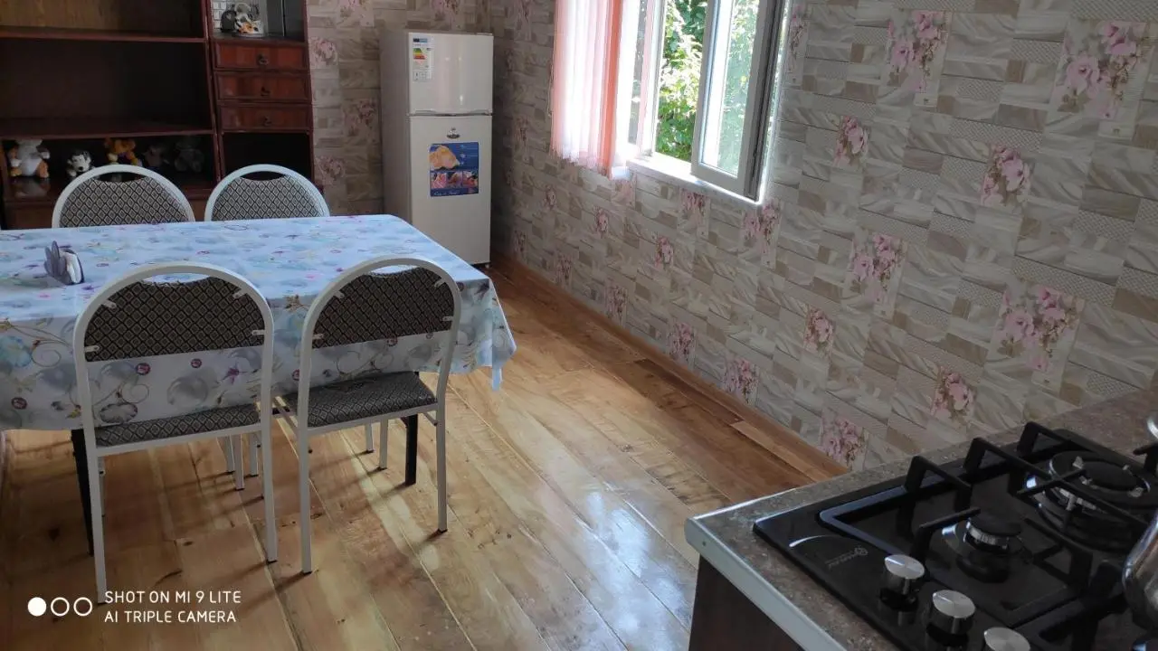 Qabala Villa House Samir