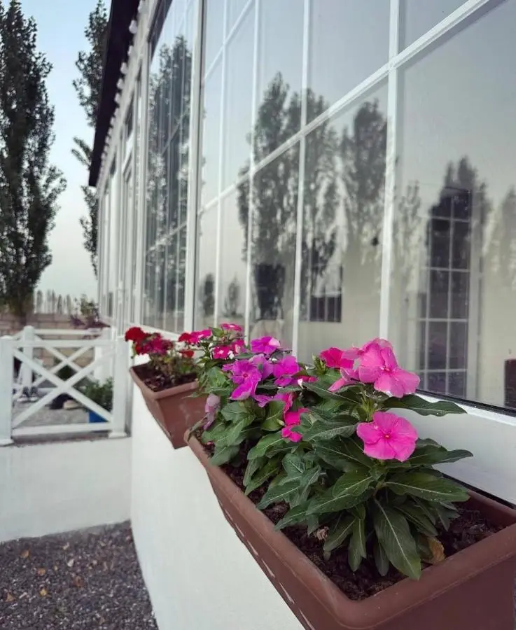 Apple Garden Guba