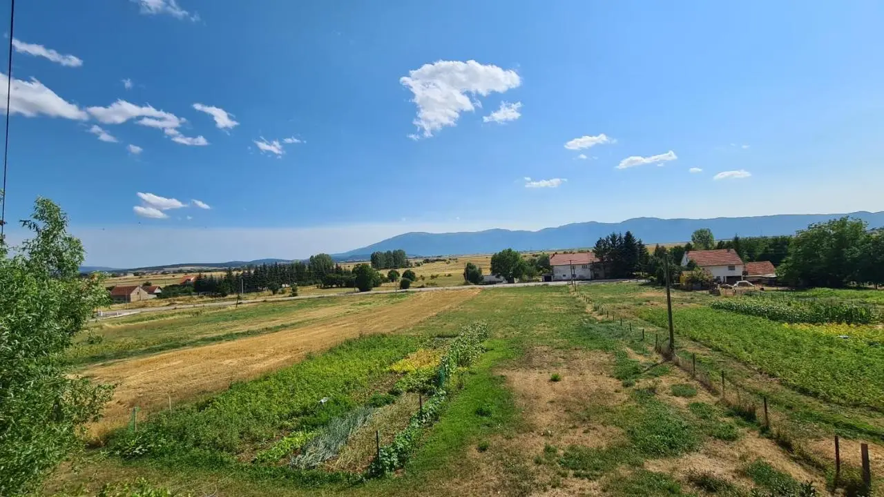 Apartment Dolic - Your peaceful spot with a panoramic view