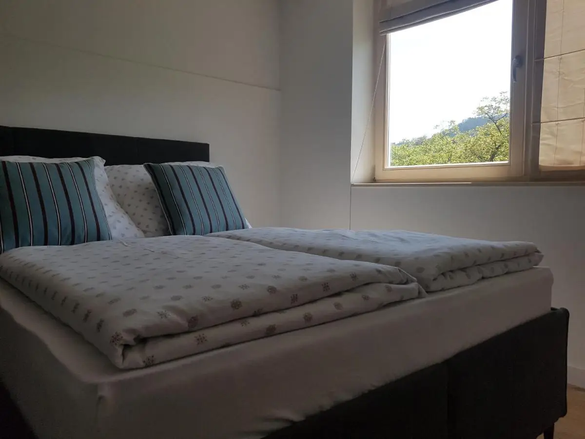 Apartman VIP Duplex