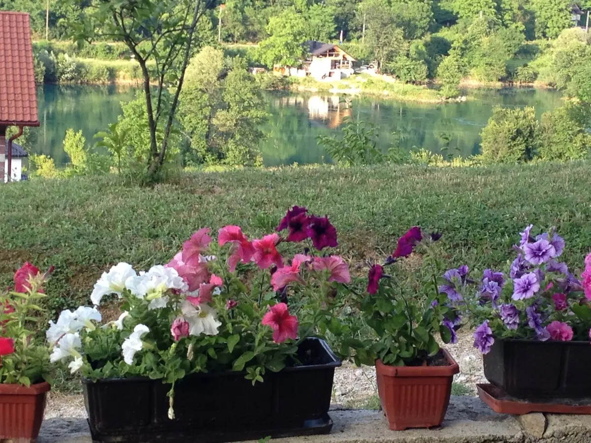 Vacation home Ajaz