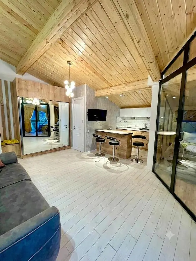 winter house GUDAURI