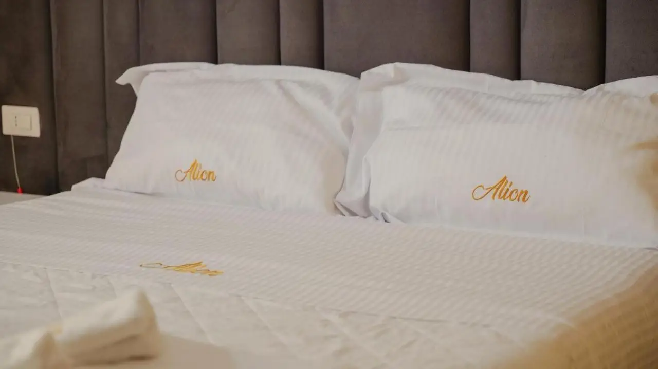 Hotel Alion