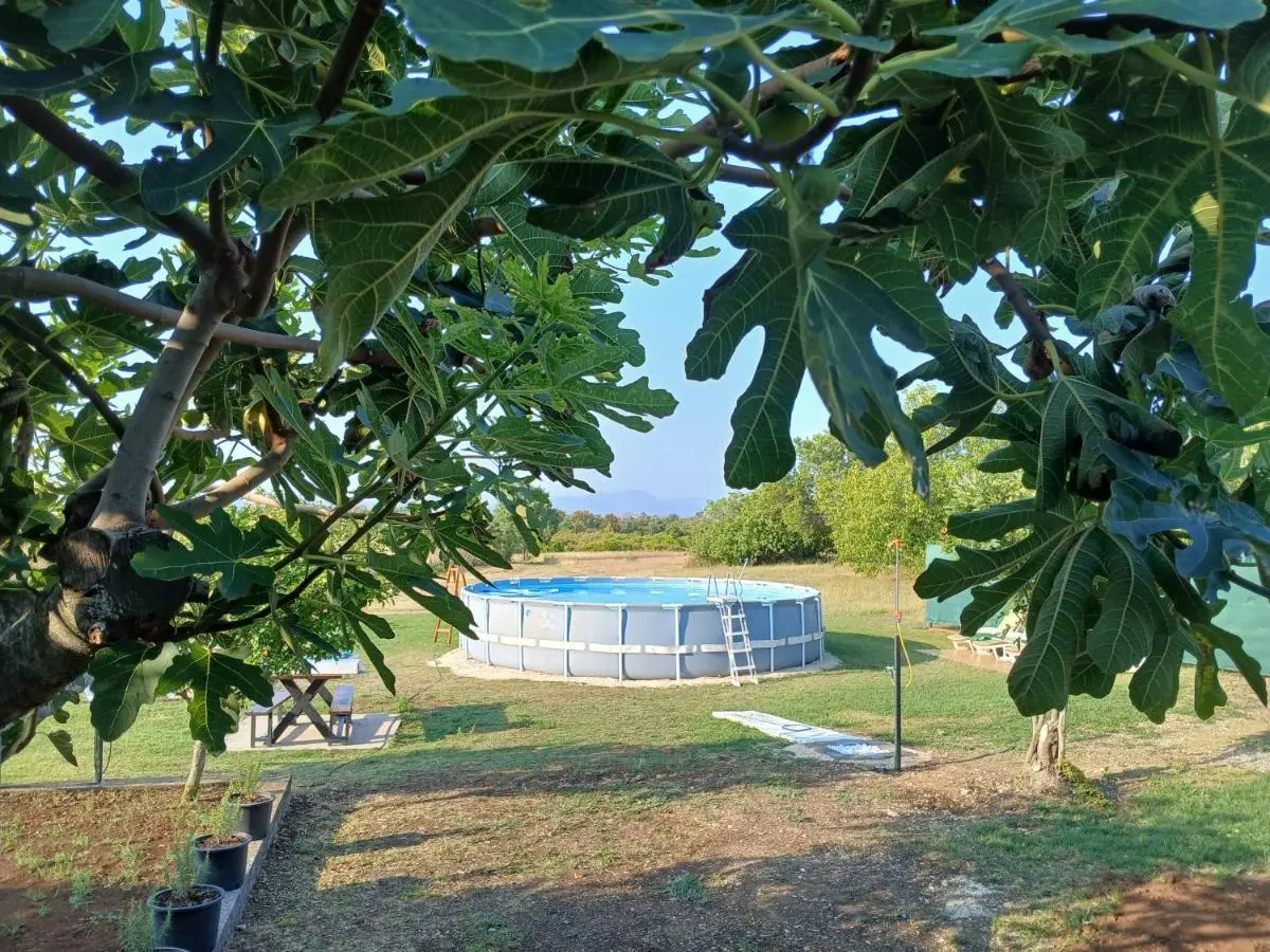 Zavičajna kuća Šakota - Kozice