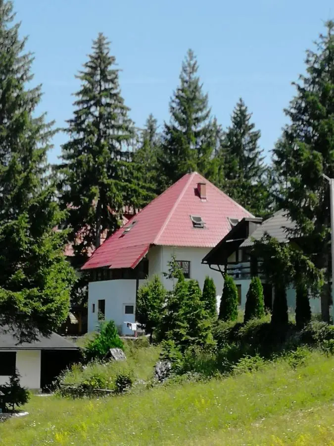 Druga priča