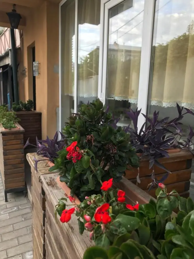 Hotel Delisi