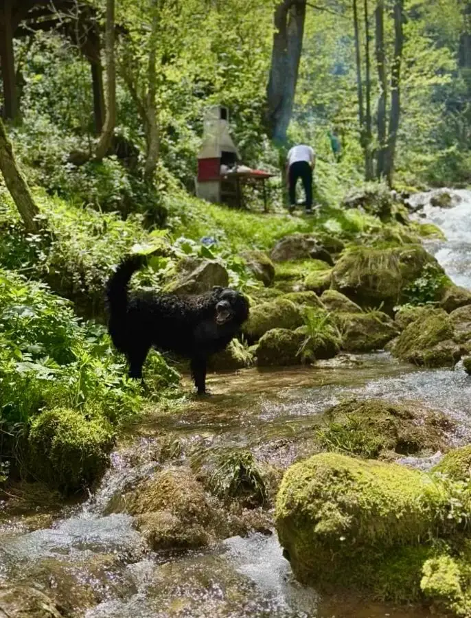 Vikend kuća Vrelo Miljacke