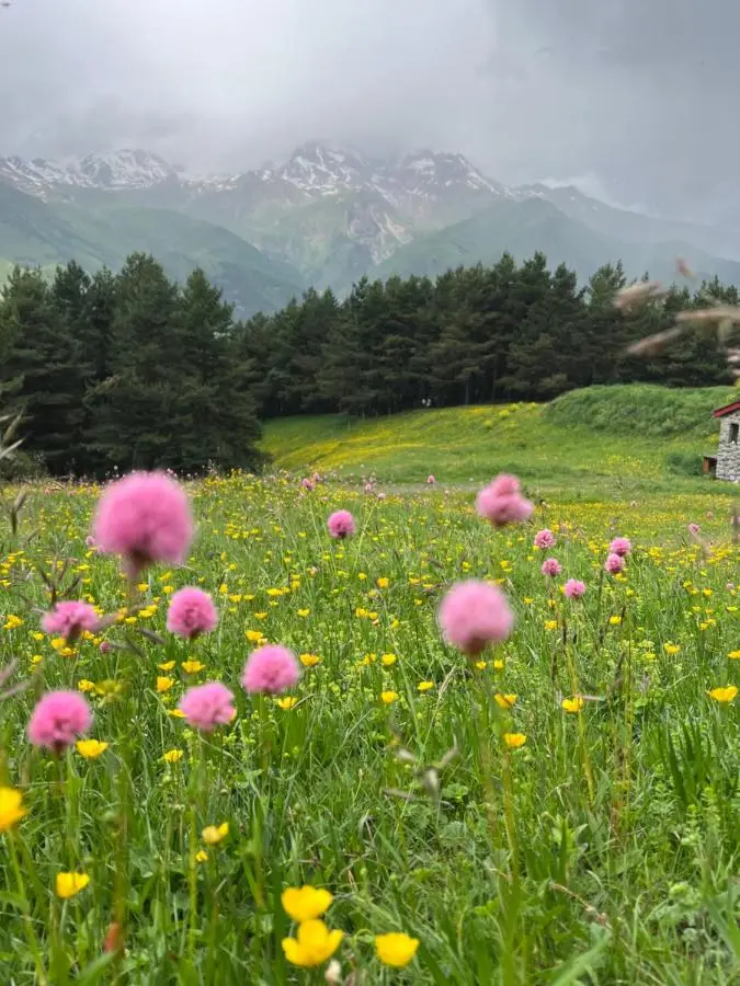 Elia Hut Kazbegi