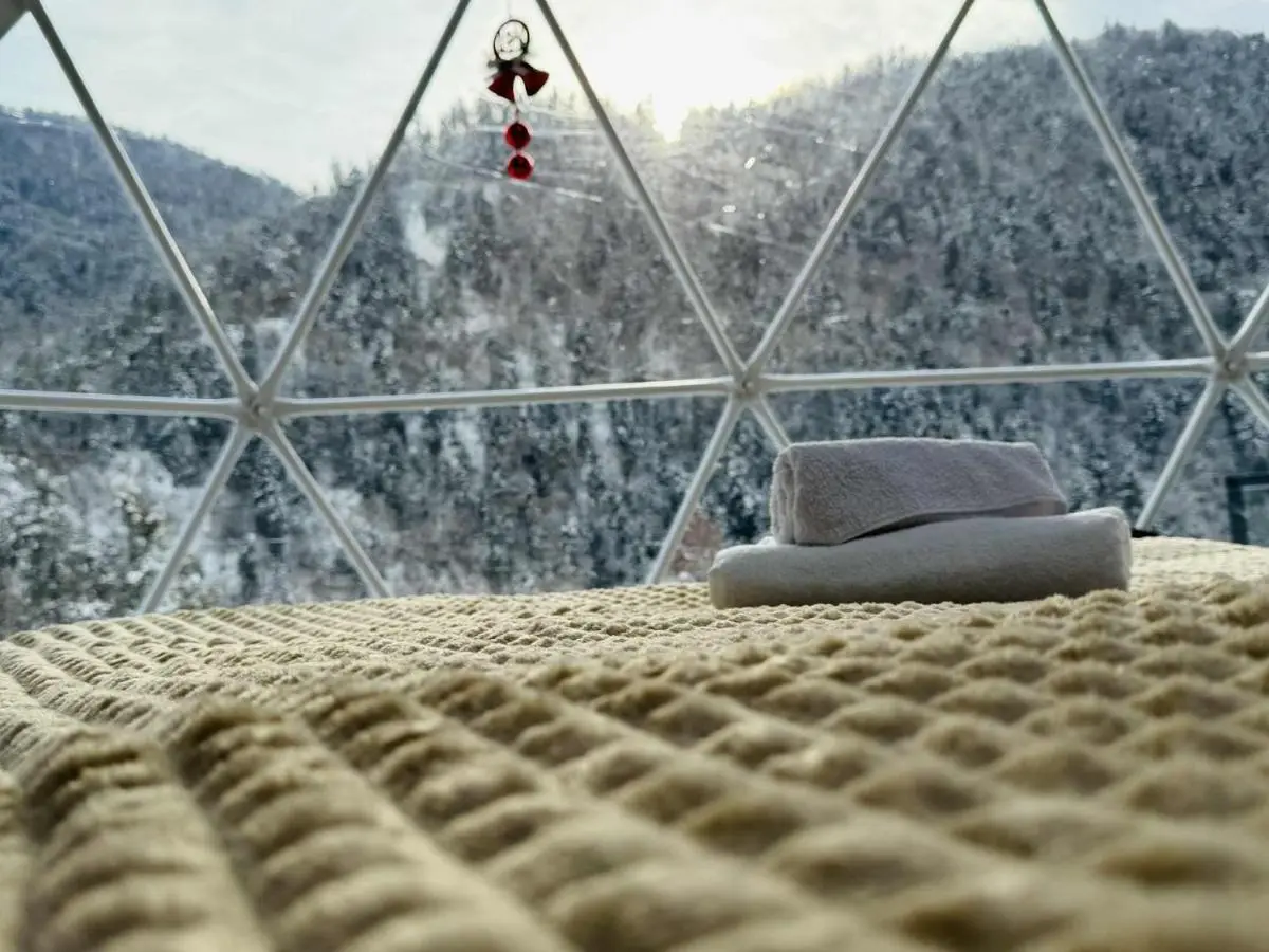 Buddy glamping Borjomi
