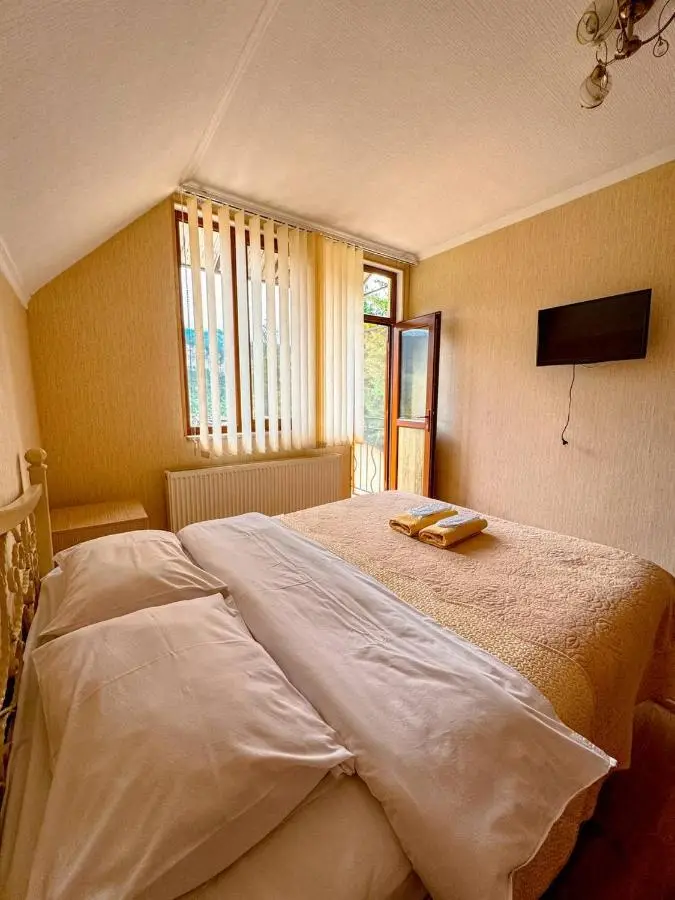 Hotel forest echo