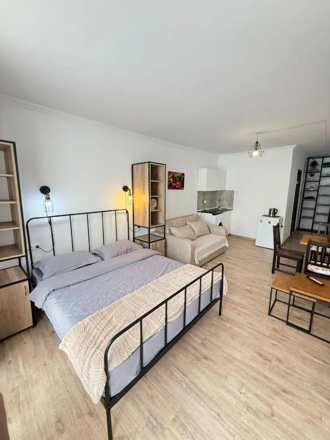 Mgzavrebi Apartment In Bakuriani