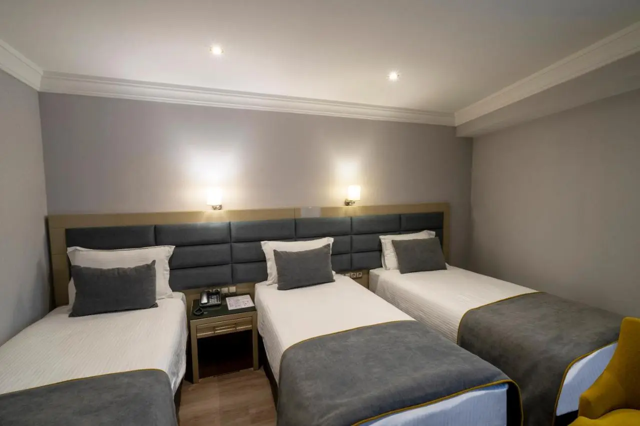 Amethyst Hotel İstanbul Old City
