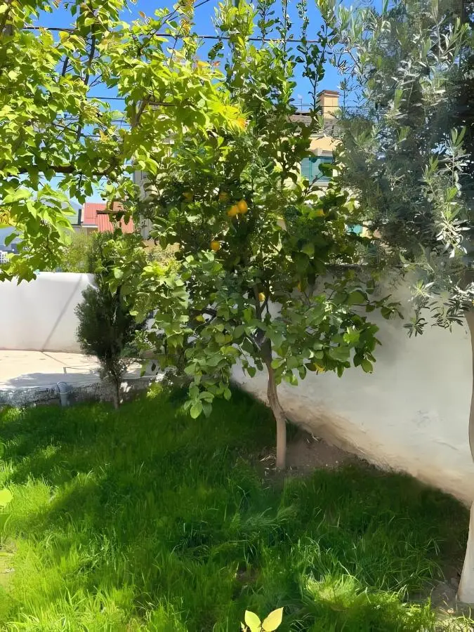 Studio Tirana Apartments