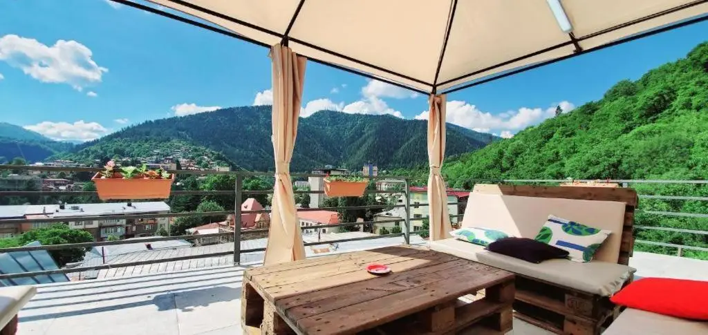 Borjomi inn