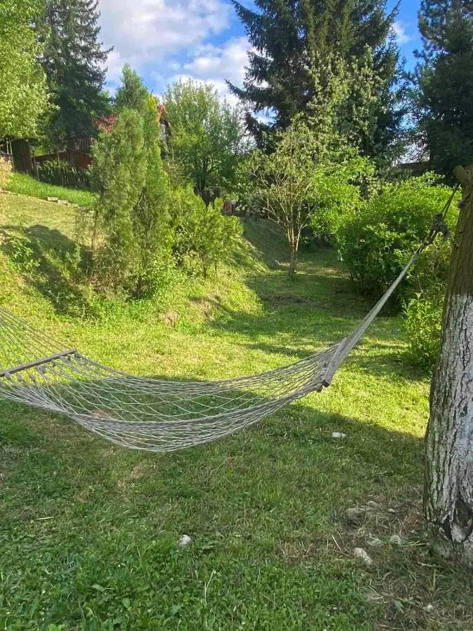 Piccola foresta