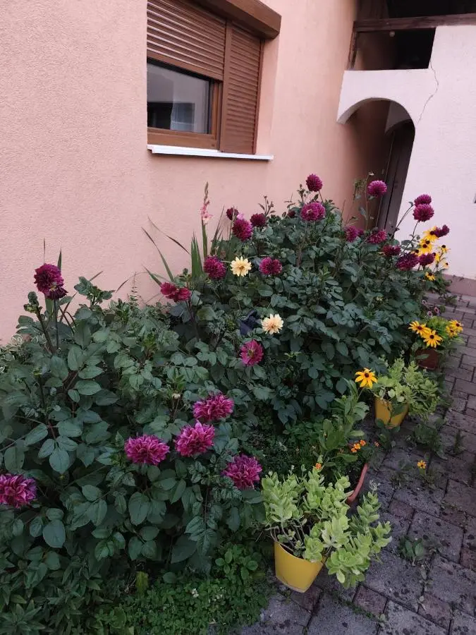 Apartman Lidija