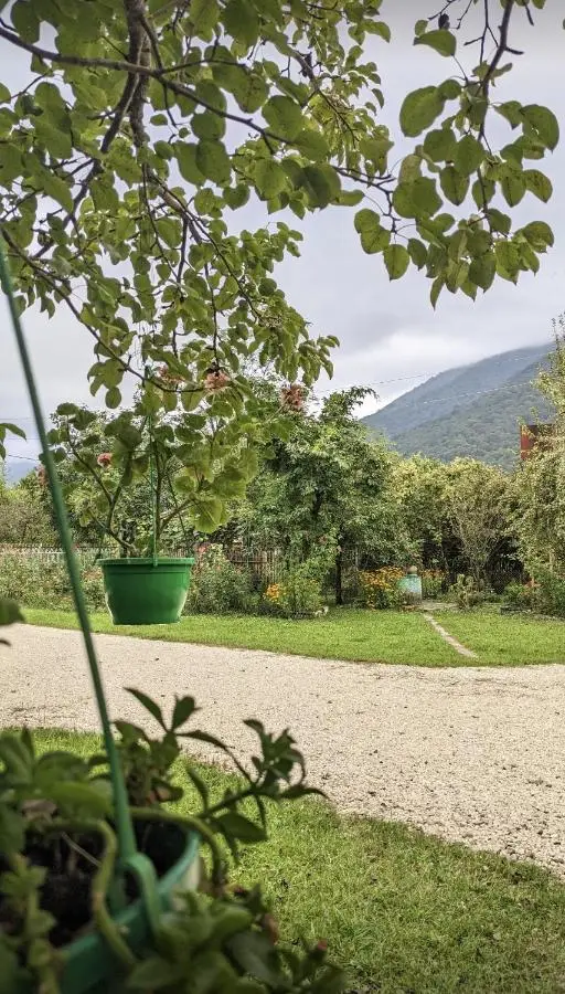 Martvili Guest House OASIS