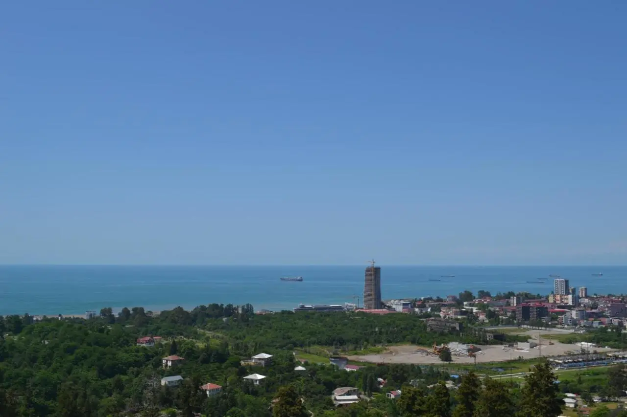Blue Horizon