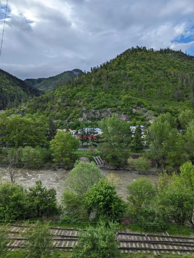 Gari's apartment next to Borjomi Central Park
