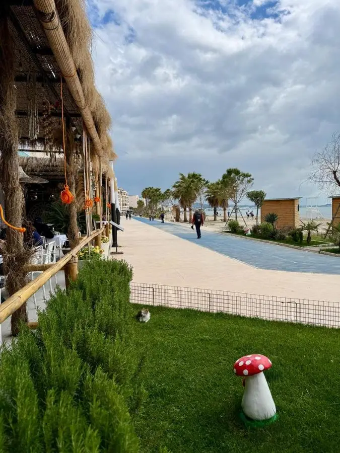 Hotel Saly