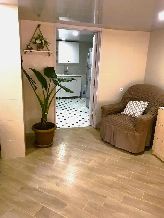 Apartment 19