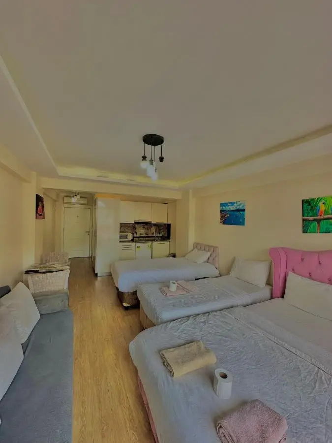 Green Suite