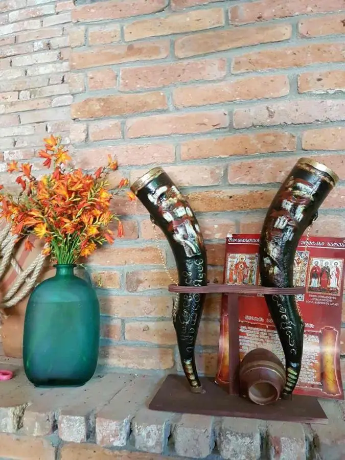 Guest House Temuri