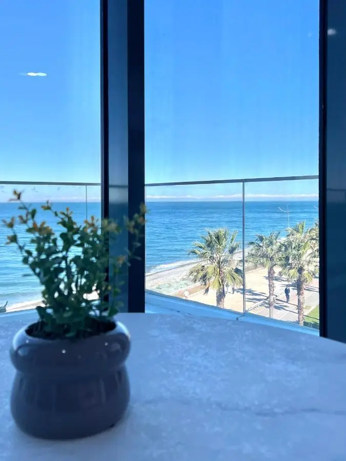 Premium apartments by the sea, Batumi View