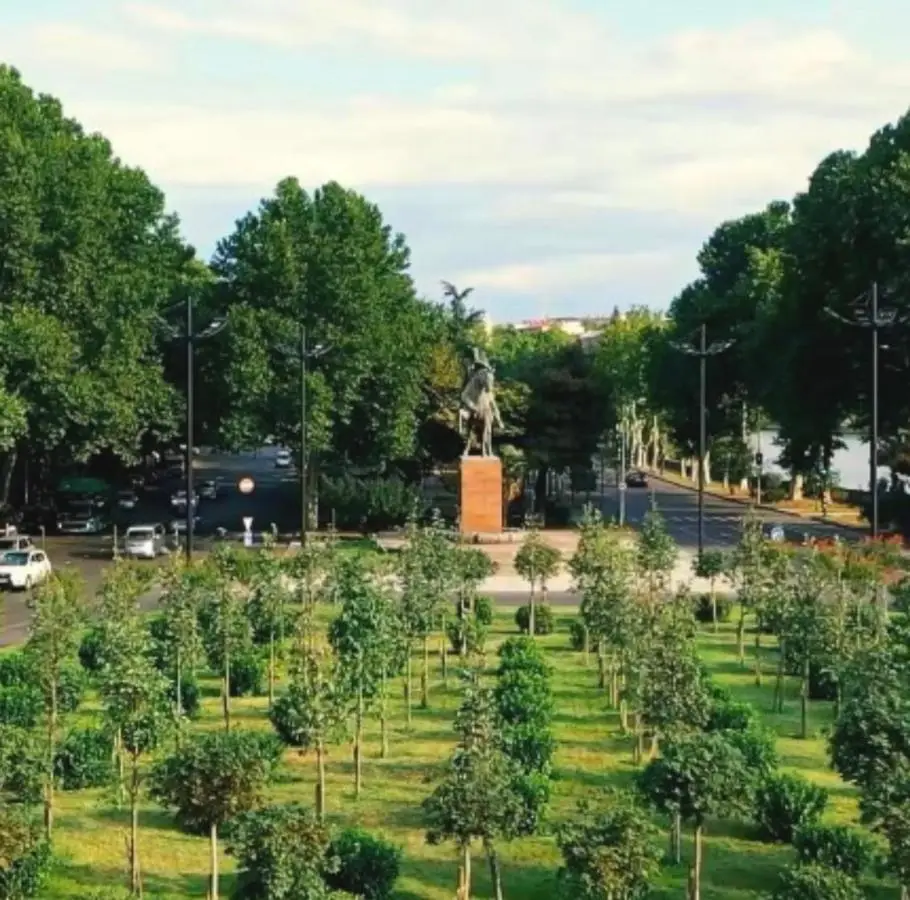 TA Ortachala flat