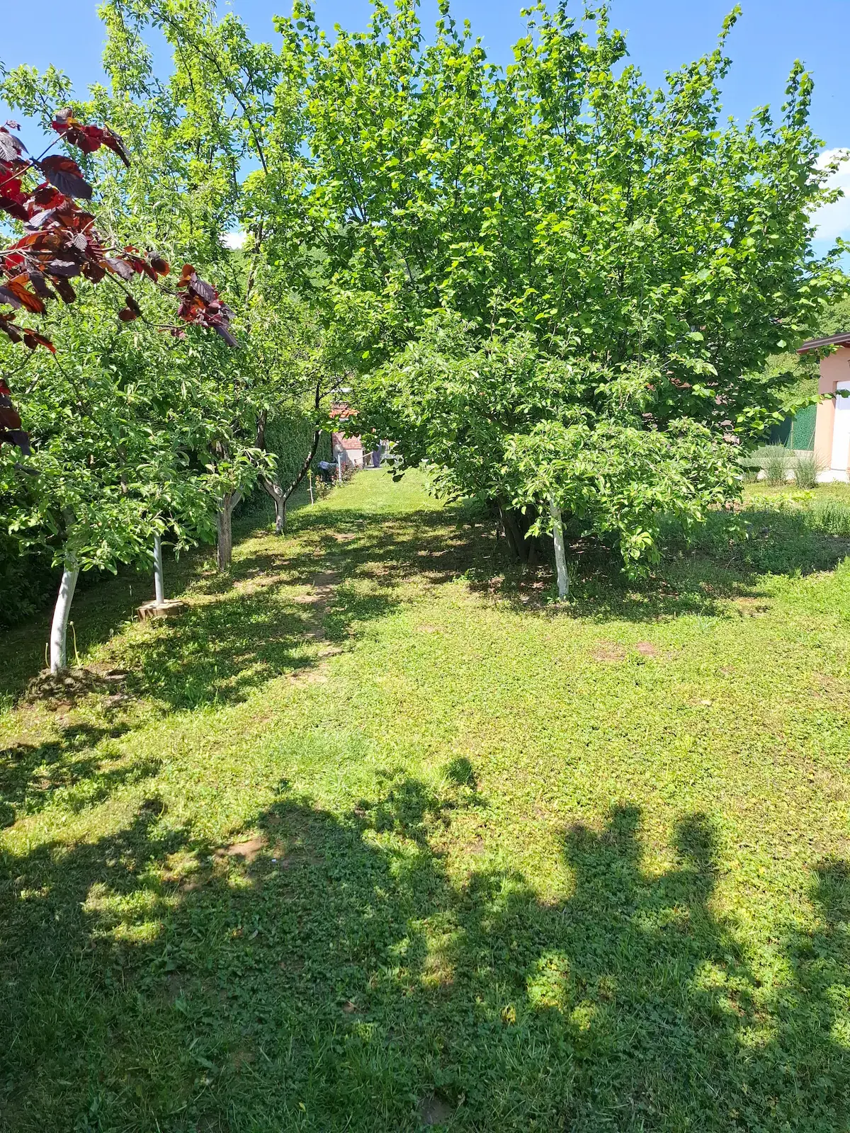 VILLA about min 3 persons - max 6 persons.