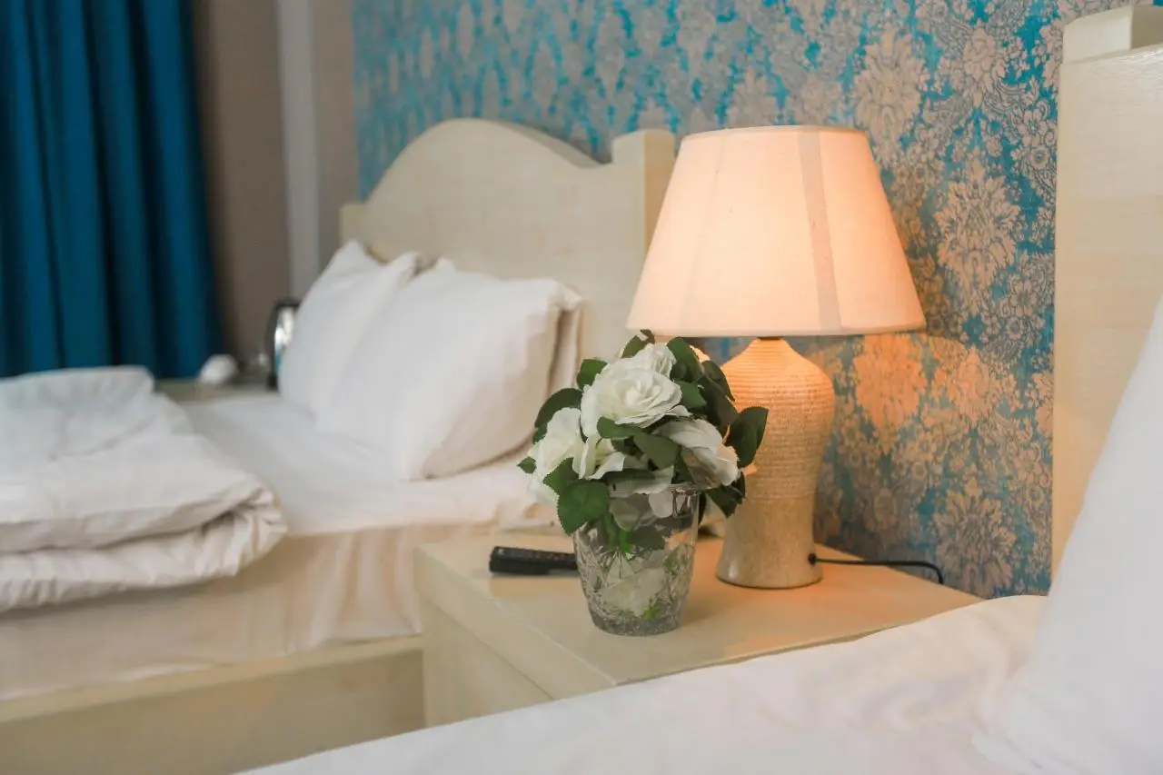 Hotel New Metekhi