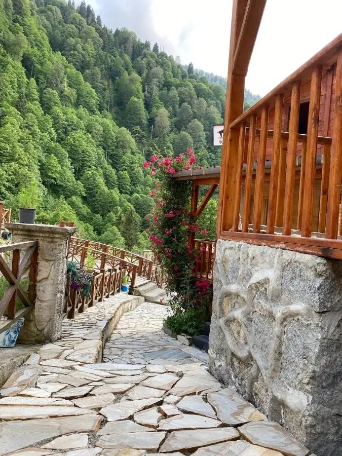 Ayder Bulut Dağevi Bungalow