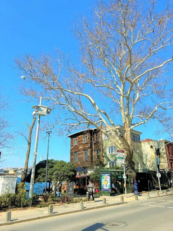 Kuzguncuk View