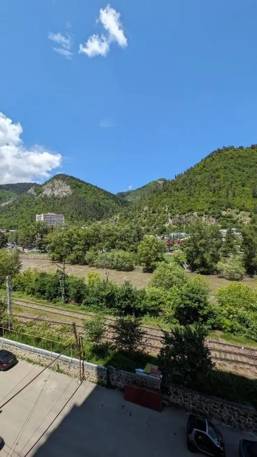Gari's apartment next to Borjomi Central Park