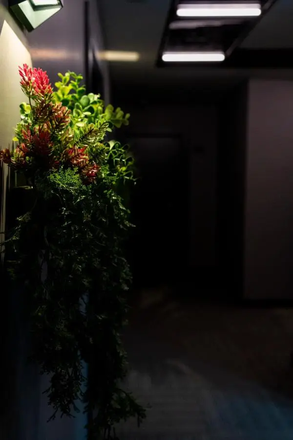 BRANDROOM HOTEL