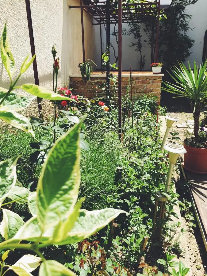 Guest house Nizama's Place