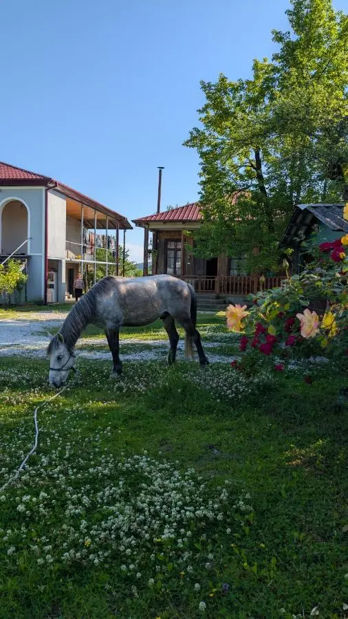 Martvili Guest House OASIS