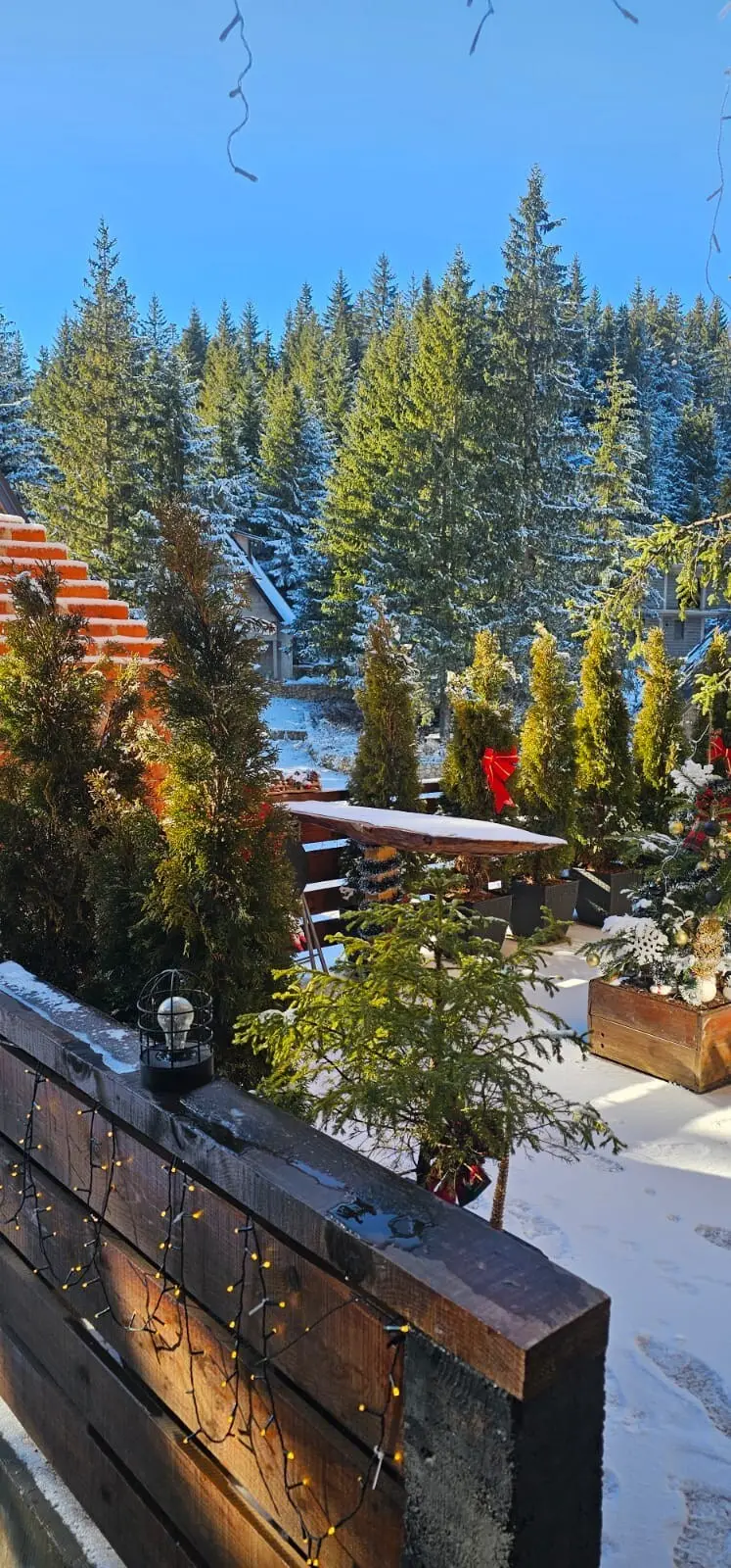 MountainHouse Star