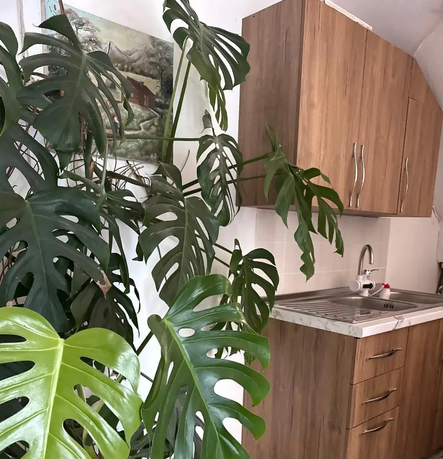 Mabel Rooms